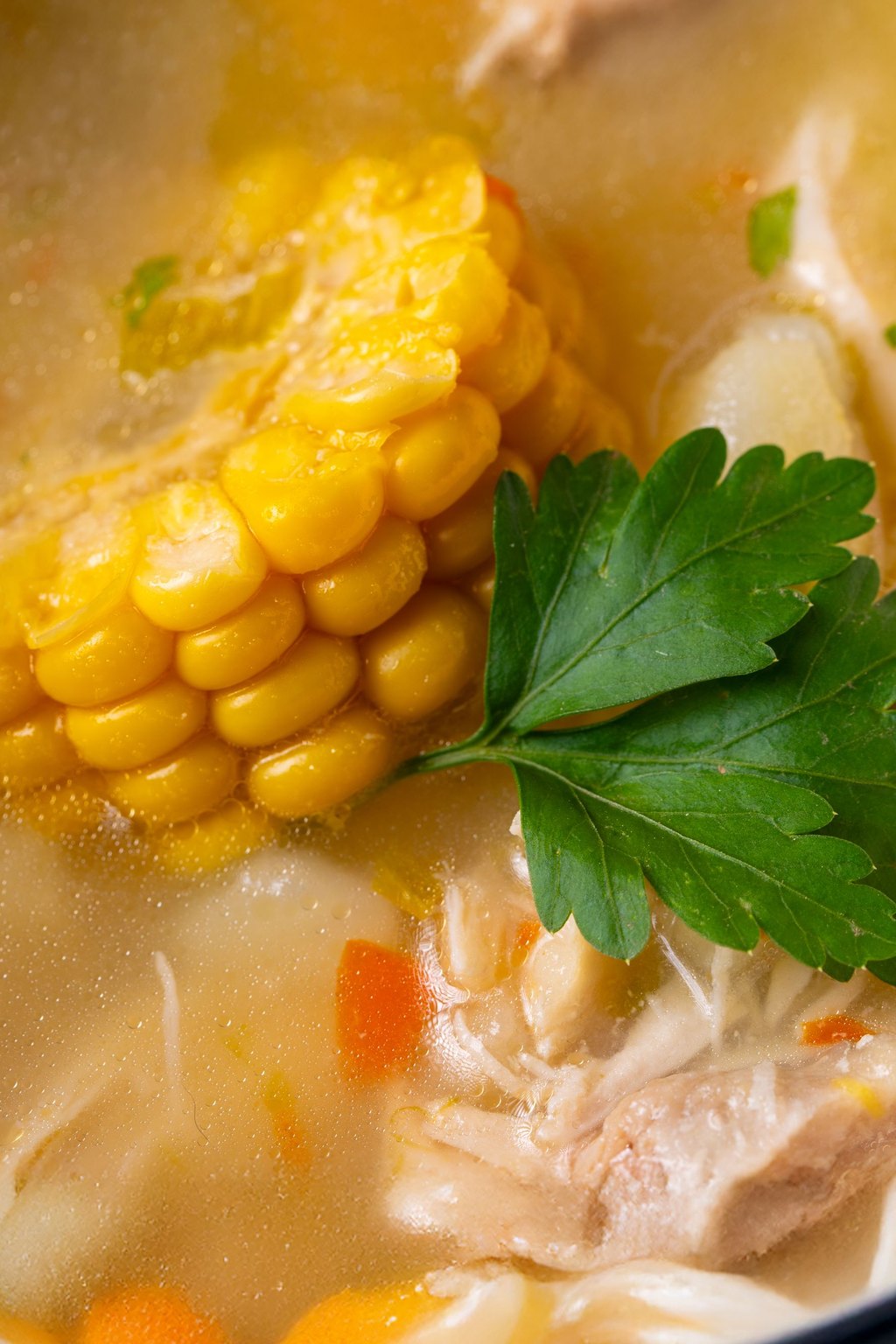Close up of chicken tortilla soup