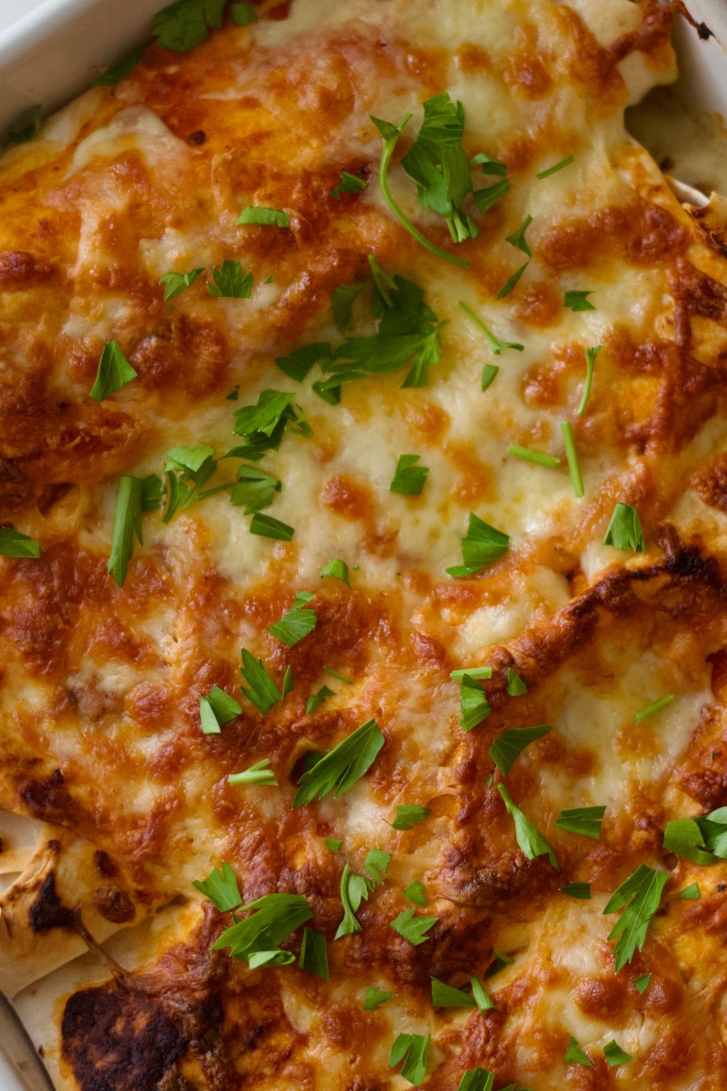 Close up of cheesy chicken enchiladas