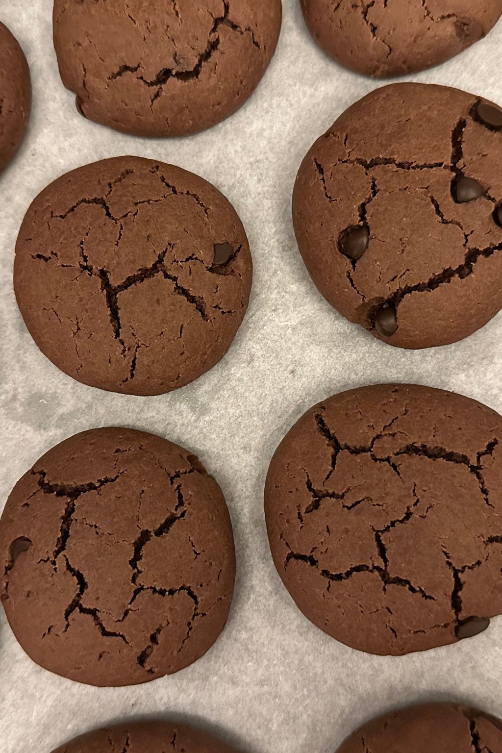 Close up of chocolate peanut butter no bake cookies