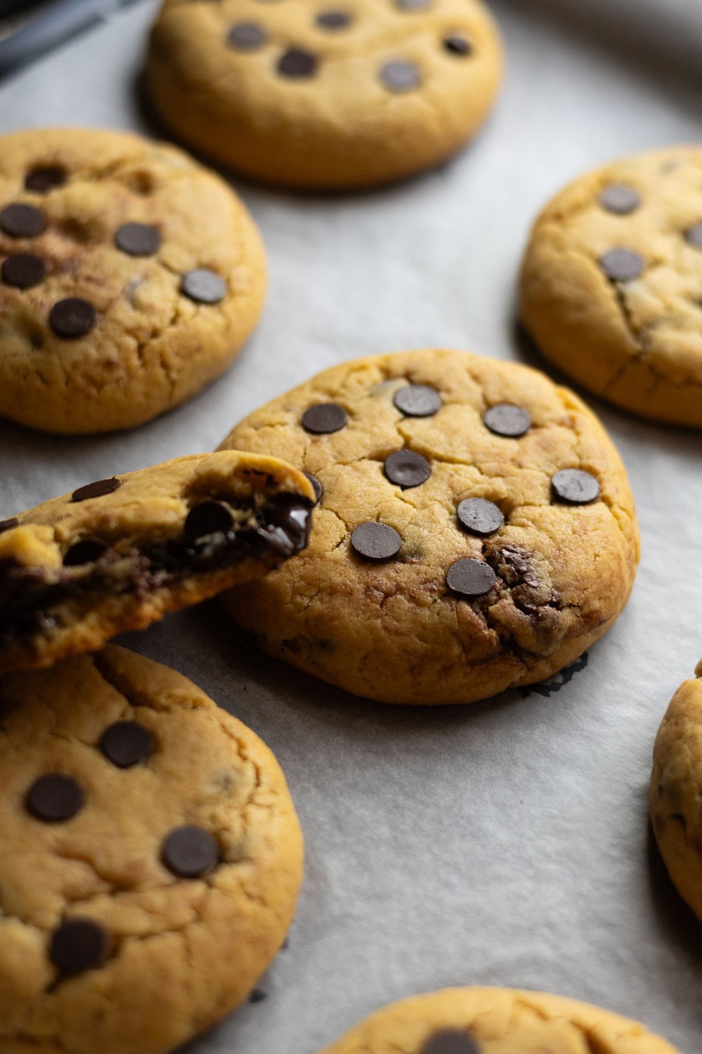 Close up of pumpkin chocolate chip cookies