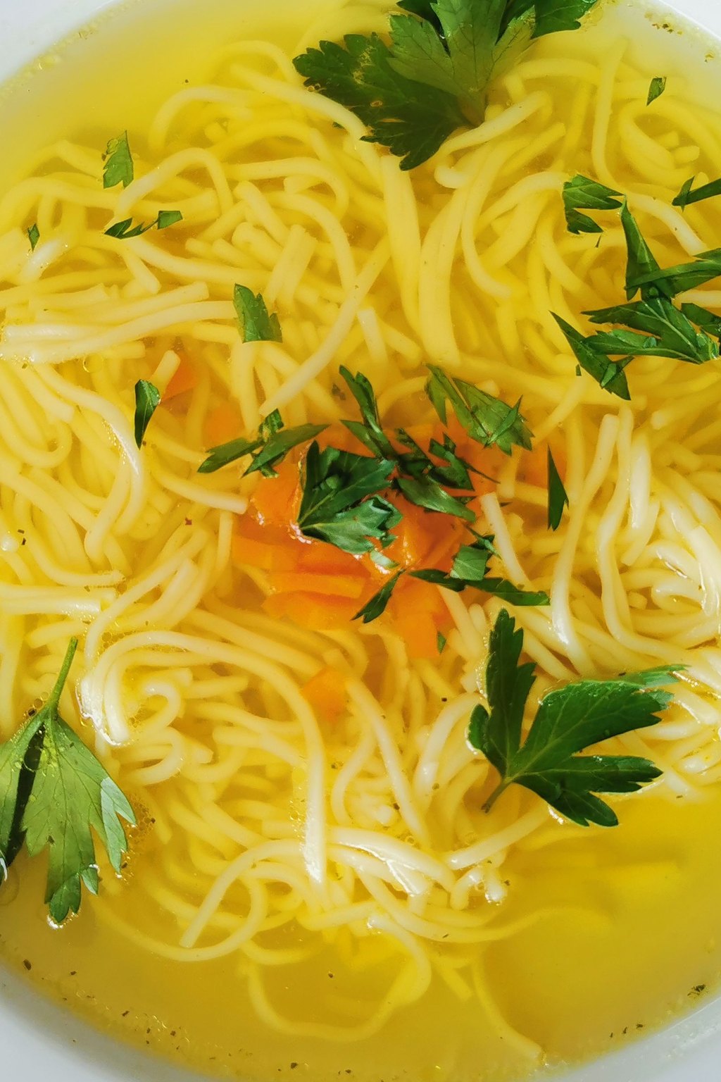 Close up of homemade chicken noodle soup