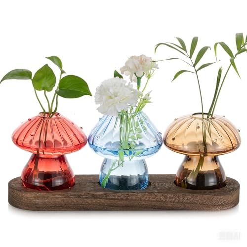 Glass Propagation Station for Plant: Mushroom Planter with Wooden Stand for Home Office Decor - Unique Propagation Jars for Plant Lovers - Set of 3 Hydroponic Mushroom Vases Gift for Mom