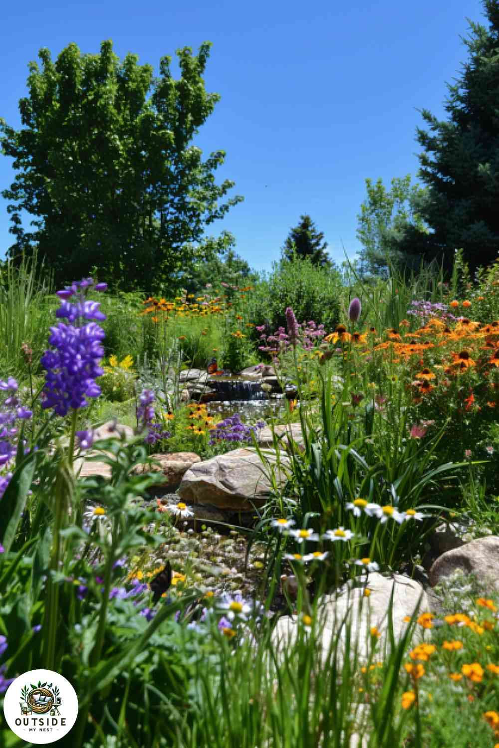 Butterfly oasis with wildflowers and water feature
