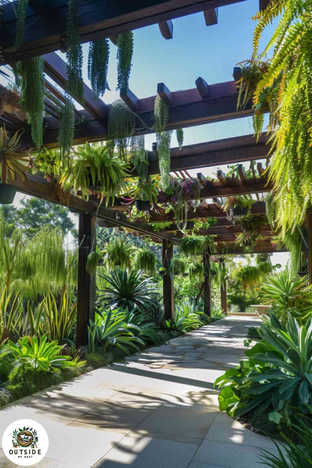 Pergola with a hanging garden of succulents and ferns.