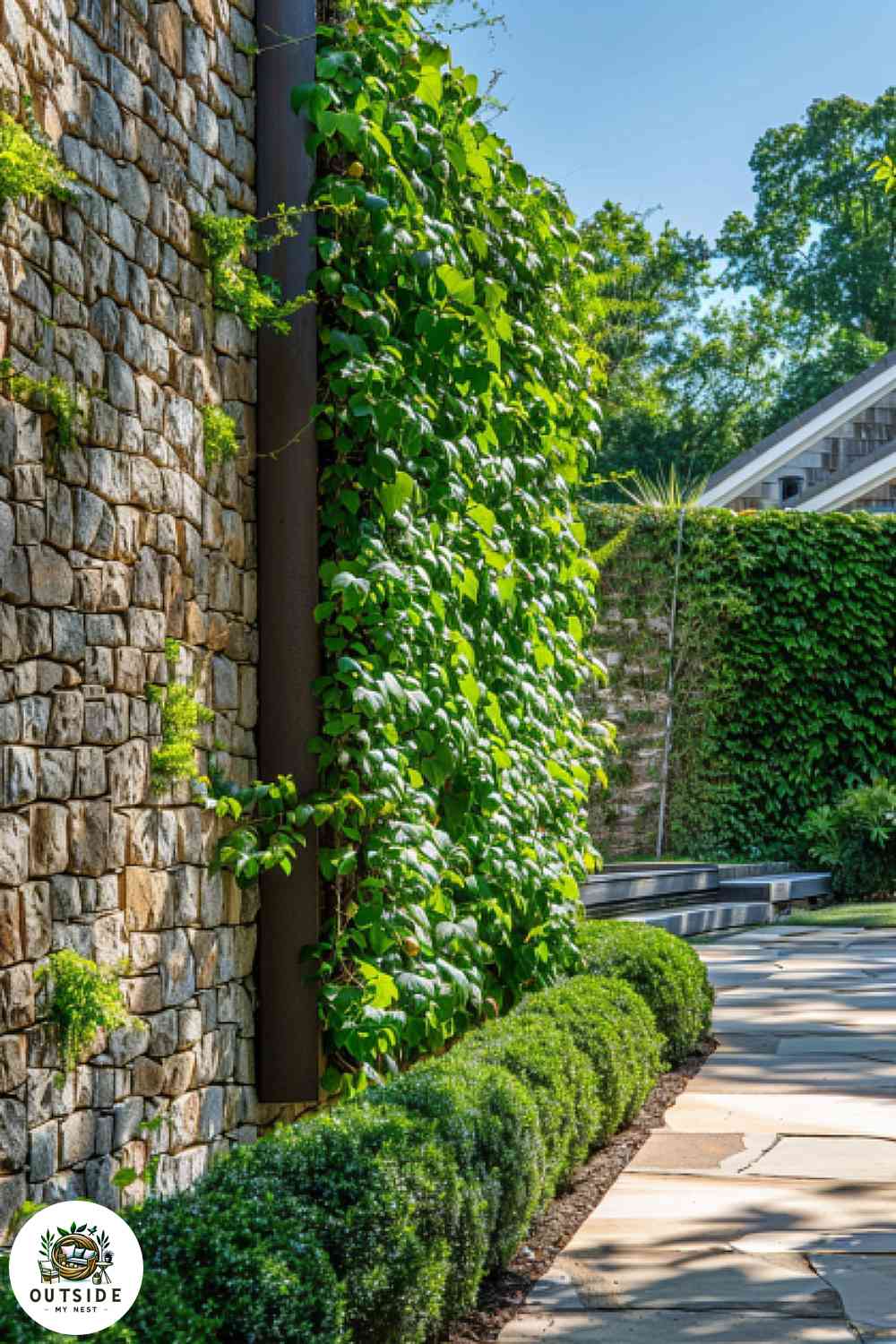 Stone wall fence with greenery