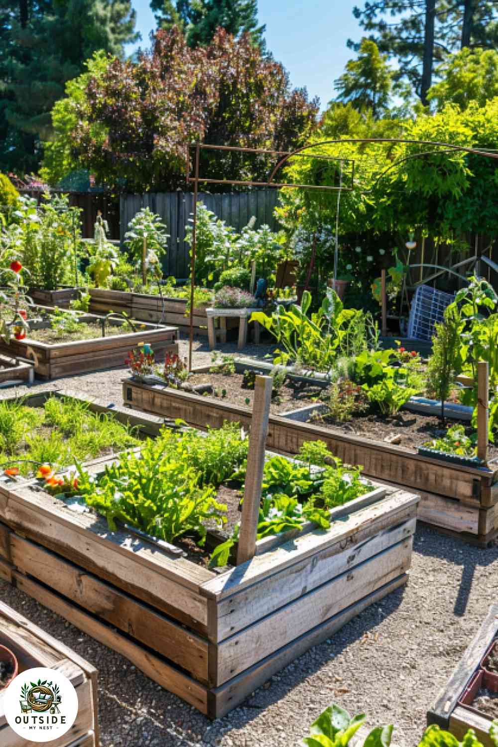 Backyard vegetable and herb garden